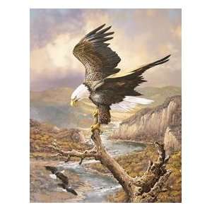  American Bald Eagle tin sign #1029 