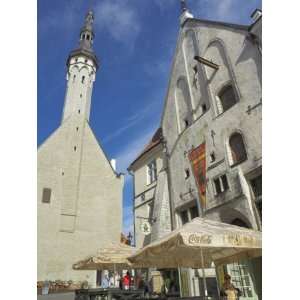 Old Town Hall Spire and Cafe, Tallinn, Estonia, Baltic States Premium 