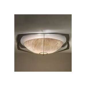  0490   Synergy Flush Ceiling Light