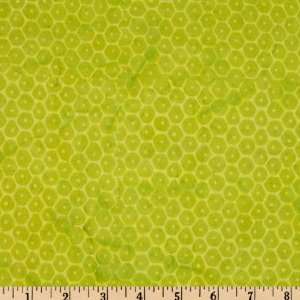  43 Wide Batik Cools Splashed Dots Lime Fabric By The 