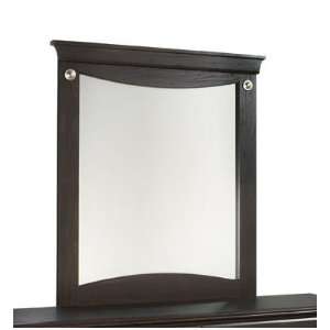  Carls Panel Mirror In Pecan Finish by Standard Furniture 