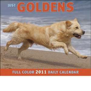  Just Goldens Day At A Time Page A Day Boxed / DESK 