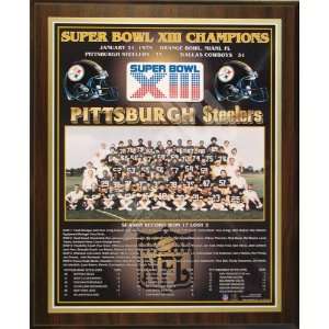   Super Bowl 13 XIII Championship 13x16 Plaque