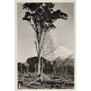  1931 Volcan Osorno Active Volcano Chile Photogravure 