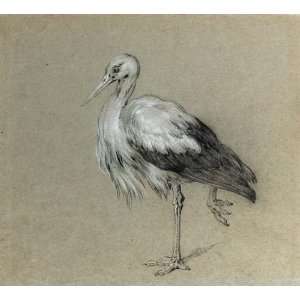     Jean Baptiste Oudry   24 x 22 inches   A stork standing on one leg