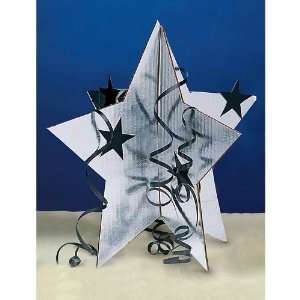  3 d Star Centerpiece Silver Set of 6 Toys & Games