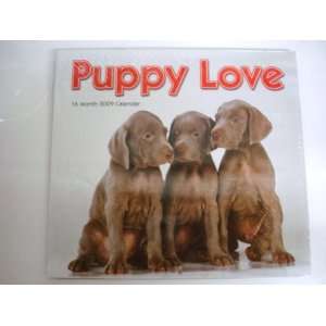  Puppy Love 2009 16 Month Wall Calendar