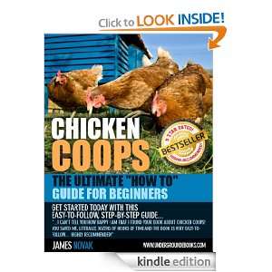 Chicken Coops   How to Build your Backyard Chickens and Hens a Coop 