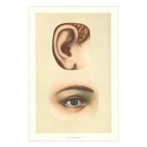  The Ear and Eye Giclee Poster Print, 24x32