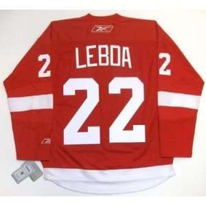 Brett Lebda Detroit Red Wings Jersey Real Rbk