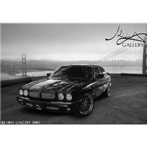  Lower Mesh Grille for Jaguar XJ8 XJR Automotive