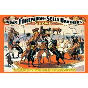   Great Danes Adam Forepaugh and Sells Brothers Great Shows