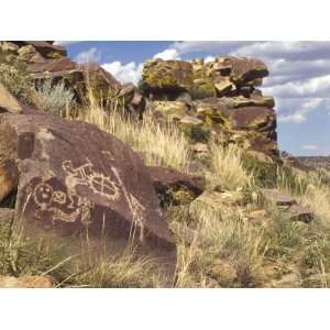  Native American Petroglyphs, Including the Hump Backed 