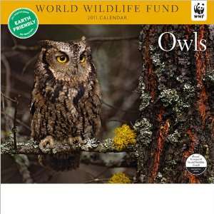  Owls WWF 2011 Deluxe Wall Calendar