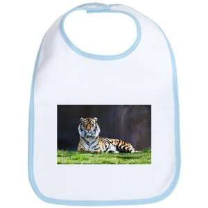  Baby Bib Sky Blue Bengal Tiger Stare HD 