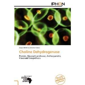   Choline Dehydrogenase (9786139395903) Claus Matthias Benedict Books