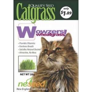  Catgrass seed, Wowzers 4 oz. Patio, Lawn & Garden