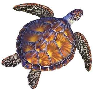  Aqua Decal Brown Turtle Group