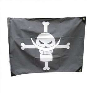   Jolly Roger Blackbeard Pirates Skeleton Pattern Flag Toys & Games