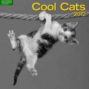   & NOBLE  2012 Cool Cats Wall Calendar by Silver Lining, Sterling