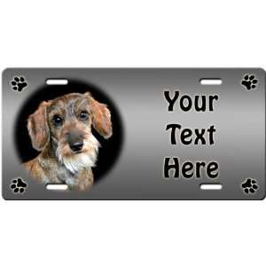  Dachshund   Wirehaired Personalized License Plate Sports 
