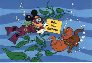 Mickey Mouse Scuba Diving Otters Disney Chrome Postcard  