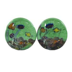 Translucent Green Background Clown Fish Aquarium Handmade Glass Double 