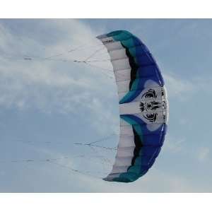  Deluxe 4.0 M2 Quad Lines Power Kite for Kitesurfing 