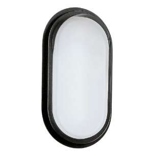 Eglo 85219A Anthracite Adria Adria Outdoor Wall Sconce with Anthracite 