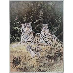  White Tiger Cubs Poster Print