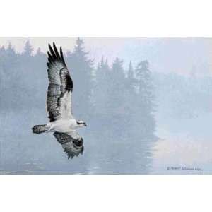  Robert Bateman   Misty Lake Osprey