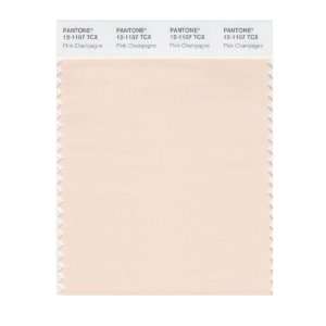   SMART 12 1107X Color Swatch Card, Pink Champagne