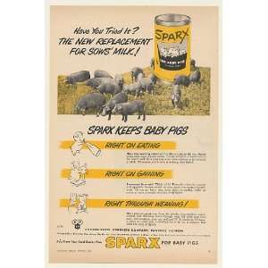  1951 Sparx Animal Feed for Baby Pigs Print Ad (49742 