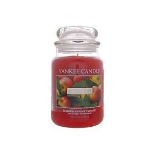  Yankee Candle Company Macintosh Housewarmer Jar Candle 22 