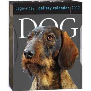  Dog 2012 Gallery Boxed Calendar