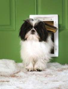 PetSafe Extreme Weather Dog Door SMALL  