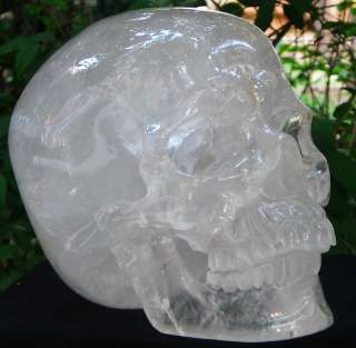 TITAN 13.9 Quartz Rock Crystal Carved Skull, Crystal Healing  