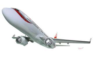 Boeing 737 800 Hongkong Airlines Wood Airplane Model  