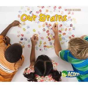  Our Brains