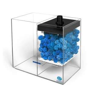   Complete System w/Overflow Box 10 75g Live Coral   