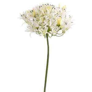  27 Silk Agapanthus Flower Spray  White (case of 12)