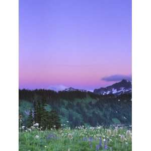  Paradise Twilight, Mt. Rainier National Park, Washington 