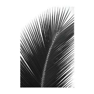  Palms, no. 14 Giclee Poster Print by Jamie Kingham, 20x28 