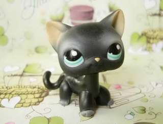 LITTLEST PET SHOP Black Halloween Kitty Cat #994  