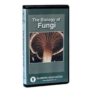 Branches on the Tree of Life Fungi DVD  Industrial 