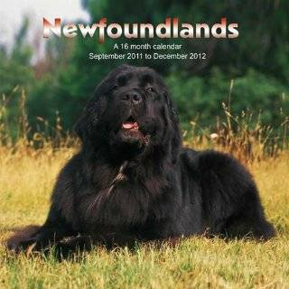   Calendar #DOG35 by Magnum Publications ( Calendar   Sept. 1, 2011