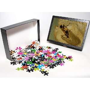  Jigsaw Puzzle of Common mud dauber wasp   female adding cell to nest 
