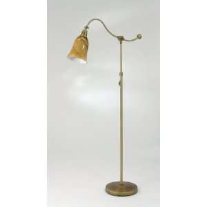   Park Traditional / Classic Swing Arm Floor Lamp from