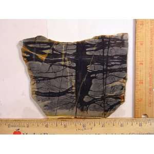 Picasso Marble Stone Rough Slab Cabochon Lapidary 