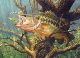 REDUCED 2004 1st Texas Freshwater Stamp Print Large Mouth Bass Mark 